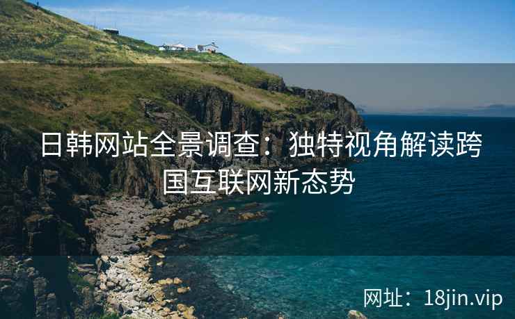 日韩网站全景调查:独特视角解读跨国互联网新态势 日韩网站全景调查:独特视角解读跨国互联网新态势