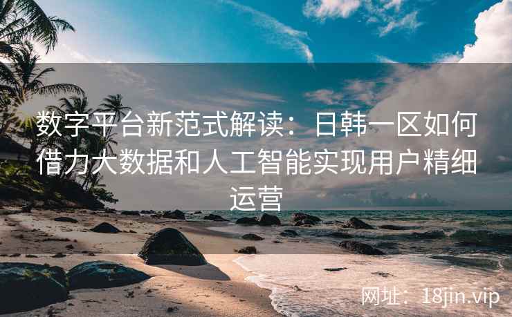 数字平台新范式解读：日韩一区如何借力大数据和人工智能实现用户精细运营